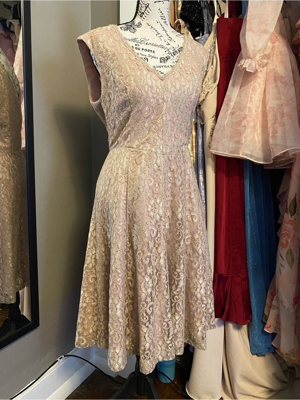 Eliza J Blush Lace V-Neck Fit & Flare Midi Dress